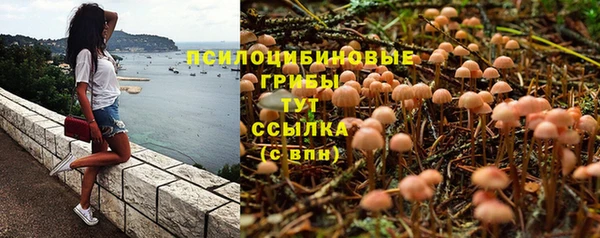 ALPHA-PVP Алексеевка