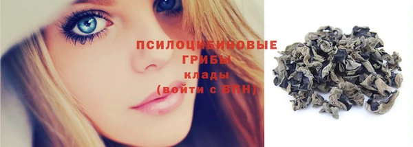 ГАЛЛЮЦИНОГЕННЫЕ ГРИБЫ Алзамай