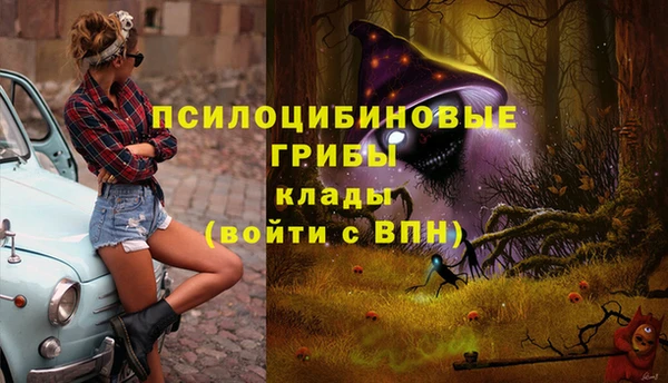 метамфетамин Алексин