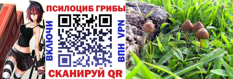 гидра онион  Кореновск  Галлюциногенные грибы прущие грибы 