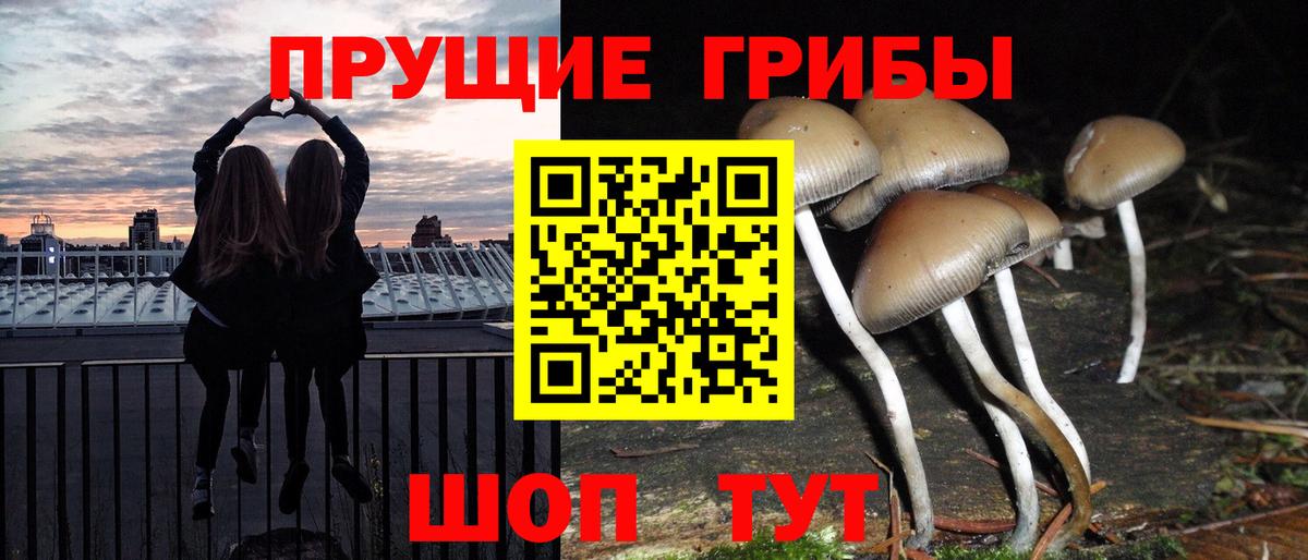 Галлюциногенные грибы GOLDEN TEACHER Кореновск